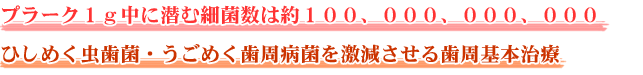 プラーク１ｇ中に潜む細菌数は約１００、０００、０００、０００ ひしめく虫歯菌・うごめく歯周病菌を激減させる歯周基本治療