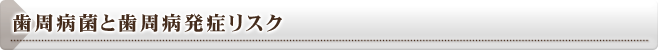 歯周病菌と歯周病発症リスク