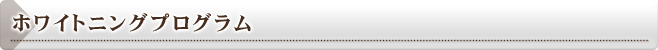ホワイトニングプログラム