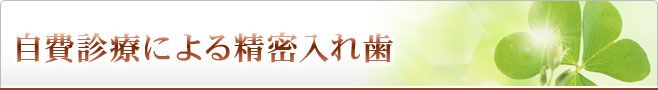 自費診療による精密入れ歯