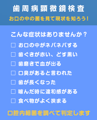 歯周病顕微鏡検査